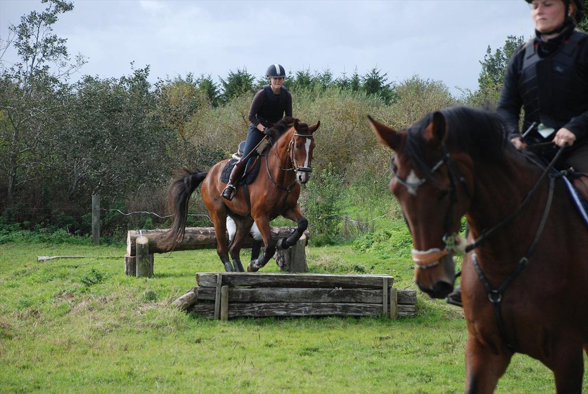 Lemilio til militarykursus med Eric Smiley billede 11