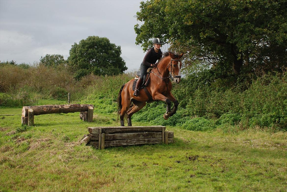 Lemilio til militarykursus med Eric Smiley billede 13