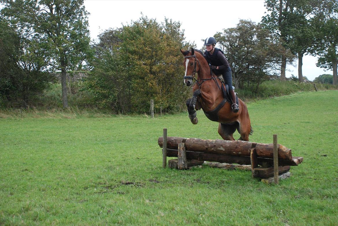 Lemilio til militarykursus med Eric Smiley billede 14