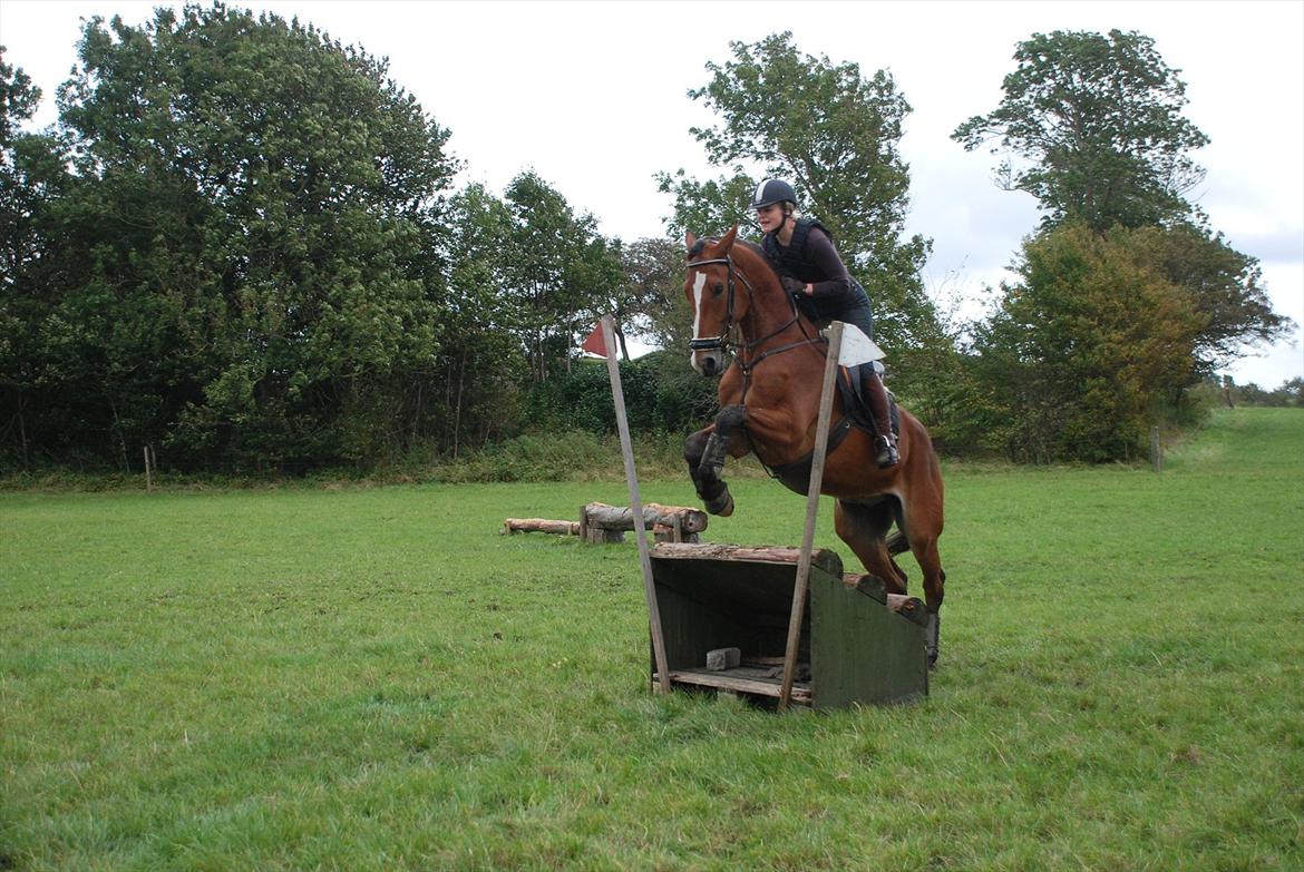 Lemilio til militarykursus med Eric Smiley - Koncentrationen lyser ud af ham: Hvordan pokker skal jeg snige mig igennem sådan en smal sag? billede 15