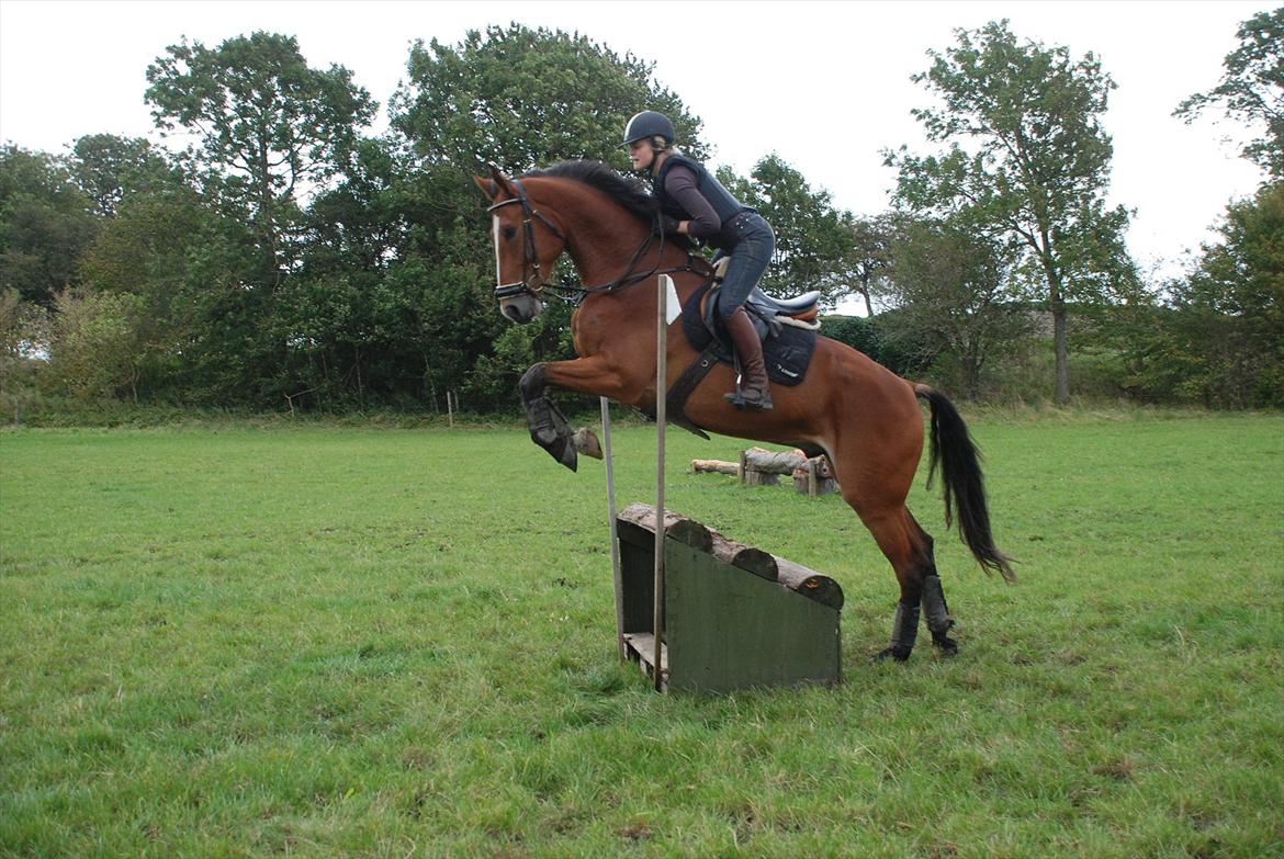 Lemilio til militarykursus med Eric Smiley - Stadig lidt svært :) billede 17