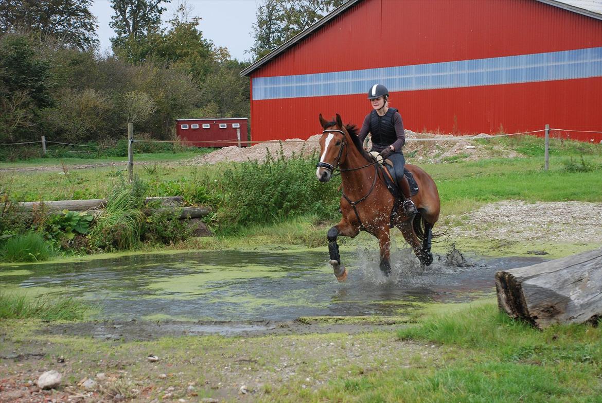 Lemilio til militarykursus med Eric Smiley - Vand!!! Så kom ørene rigtigt frem :) billede 18