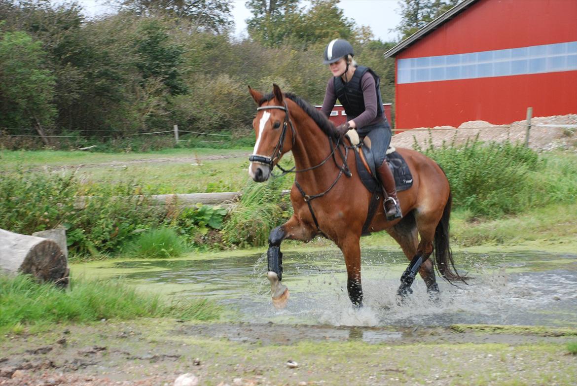 Lemilio til militarykursus med Eric Smiley billede 19