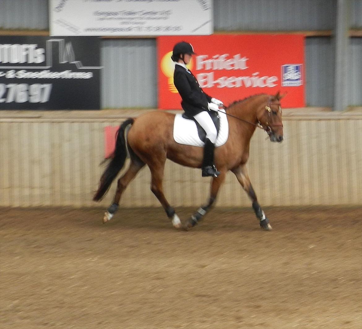 Stævne i Roager Rideklub d. 24/9 2011 billede 2