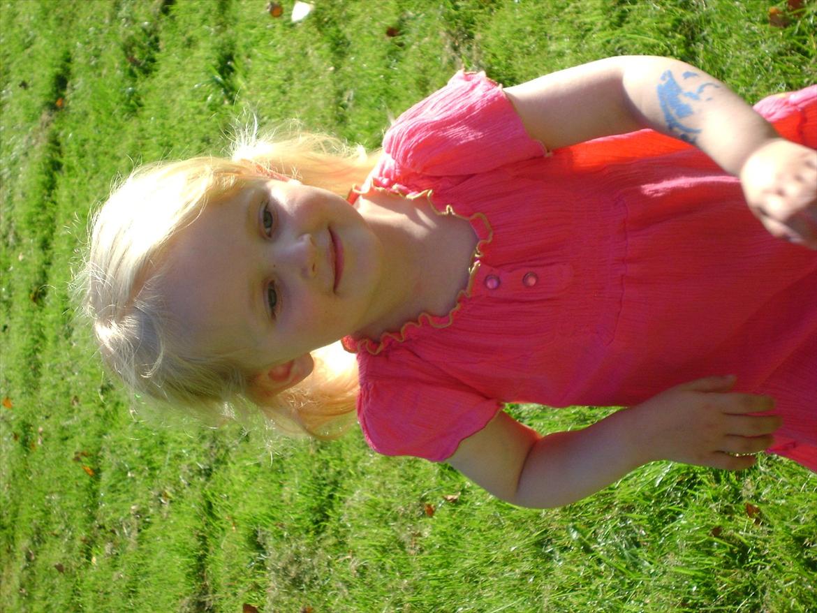 Amatør fotograf - kig evt. - Lærke. billede 29