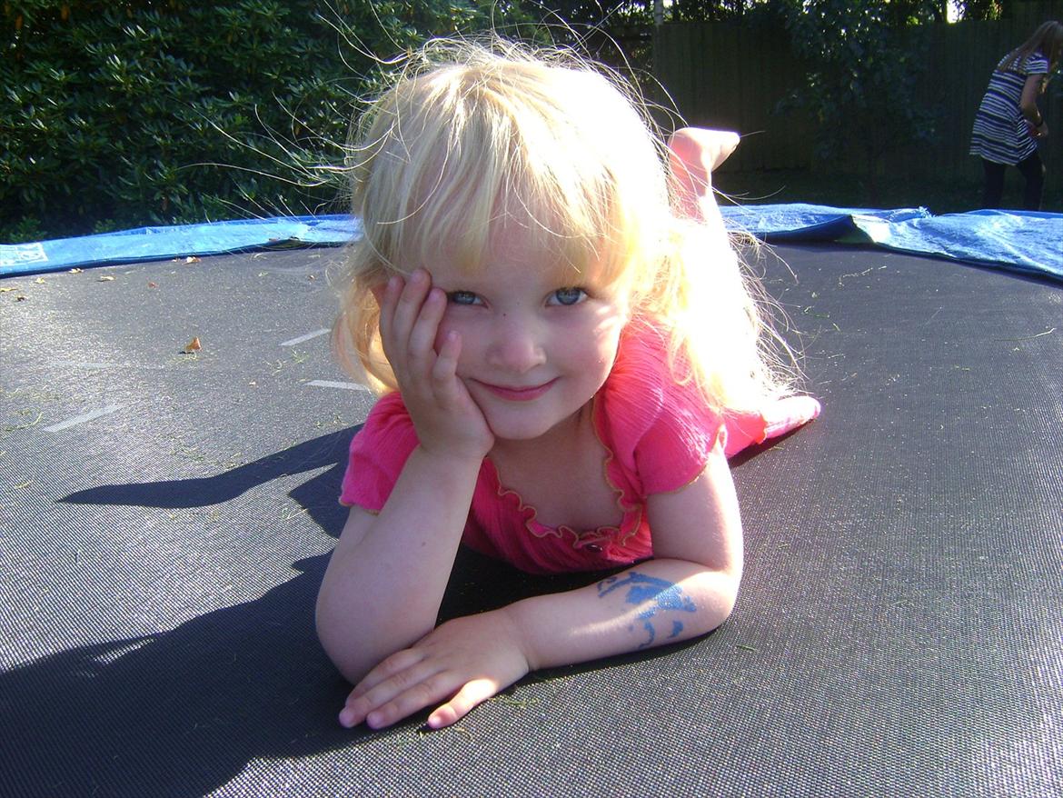 Amatør fotograf - kig evt. - Lærke. billede 34