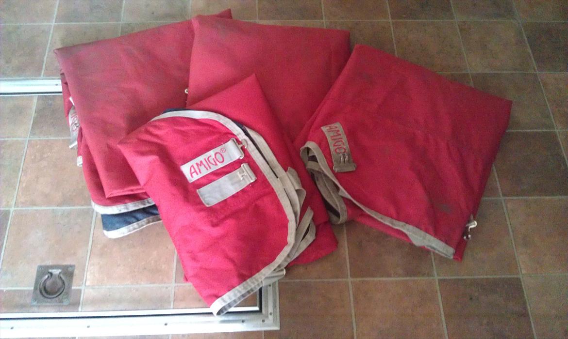 Mit udstyr til hestene. - Mine 4 skønne røde Amigo regndækken. billede 6