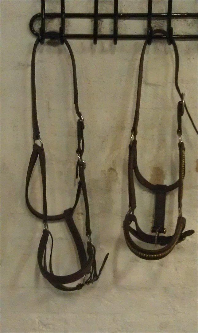 Mit udstyr til hestene. - Brune læder grimer. billede 31