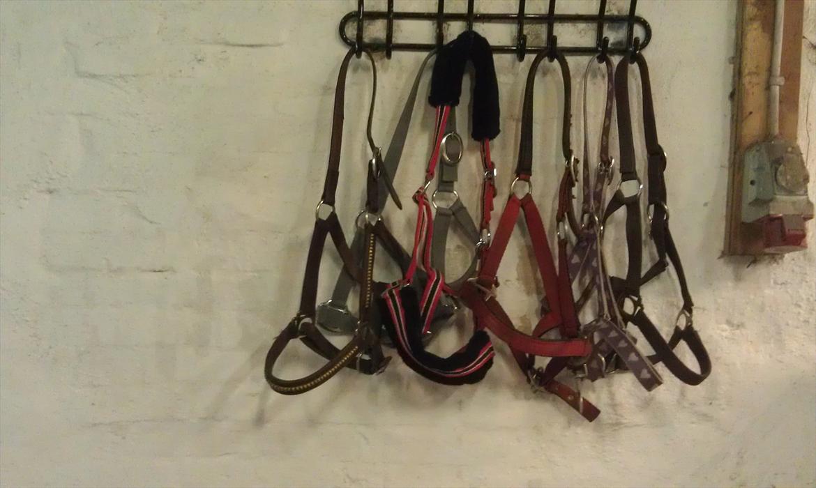 Mit udstyr til hestene. - Julie´s grimer. billede 29