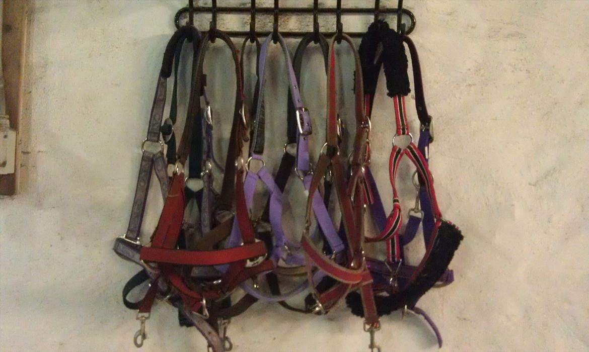 Mit udstyr til hestene. - Malou´s grimer. billede 28