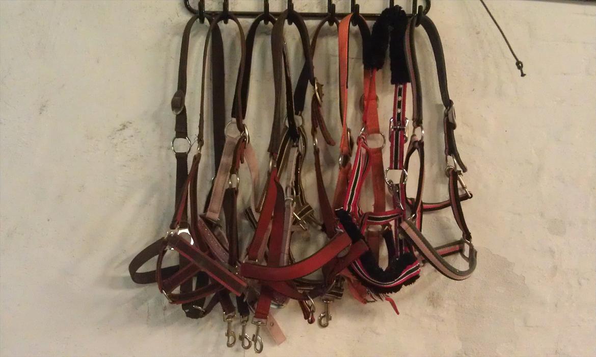 Mit udstyr til hestene. - Savannah´s grimer. billede 30