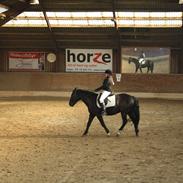 RVF - Stævne d. 2 oktober 2011. 