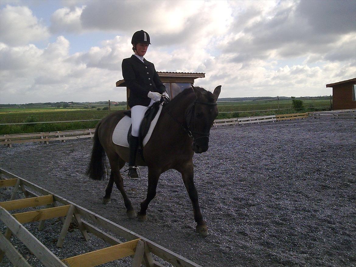 Stævne i Roager Rideklub d. 24/9 2011 billede 95