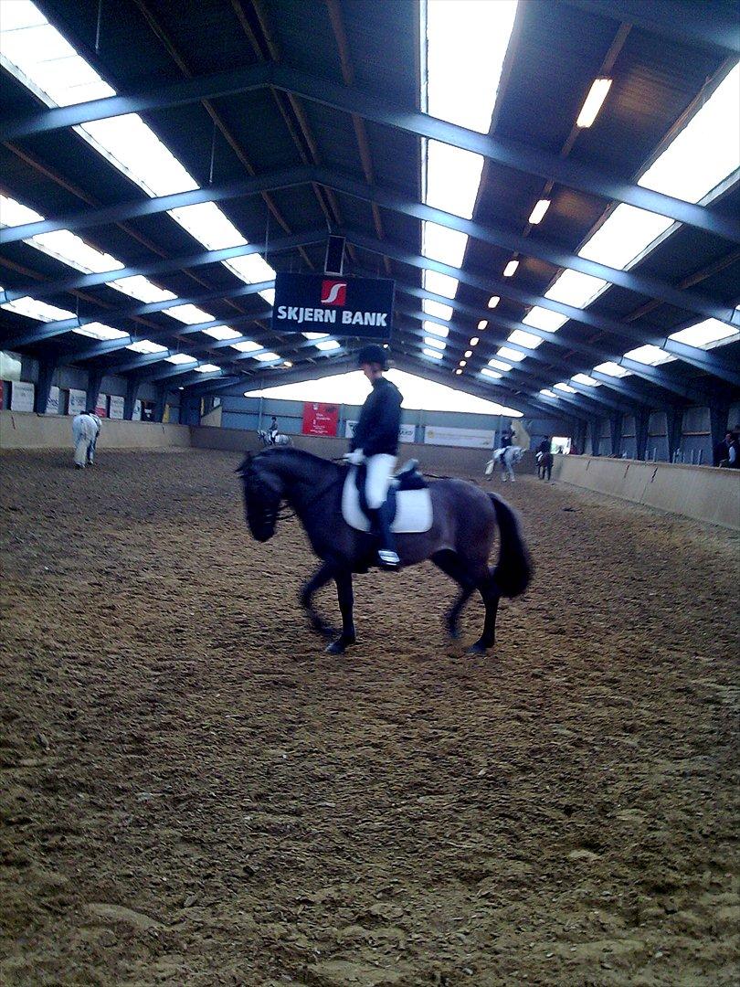 Stævne i Roager Rideklub d. 24/9 2011 billede 97