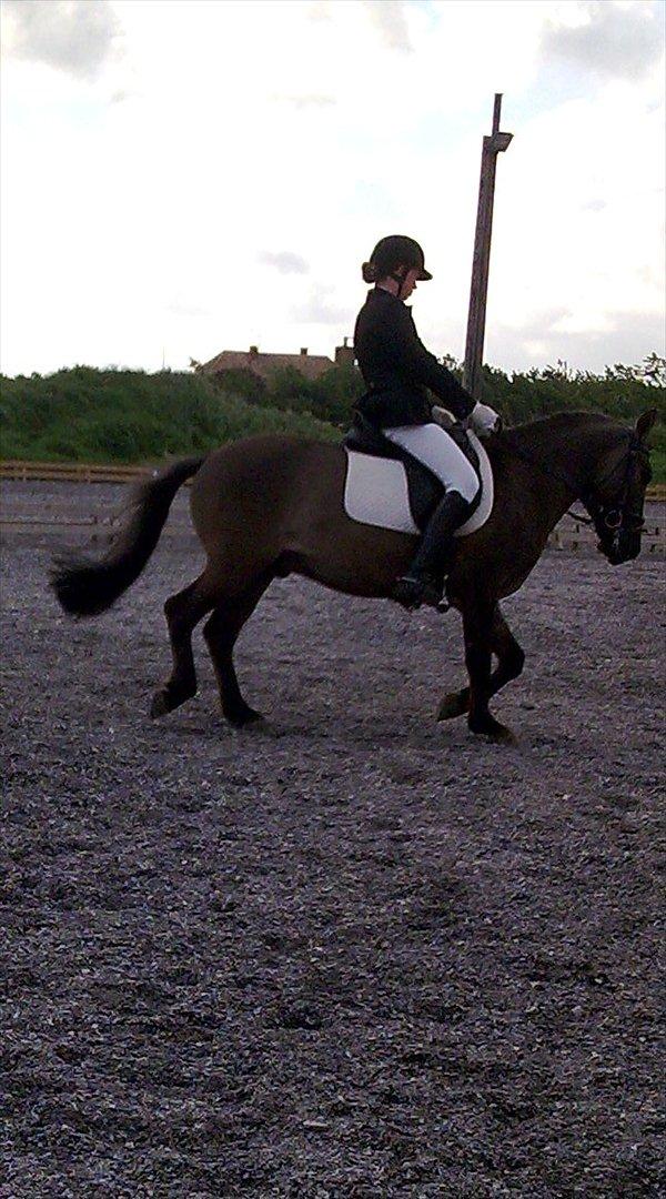 Stævne i Roager Rideklub d. 24/9 2011 billede 98