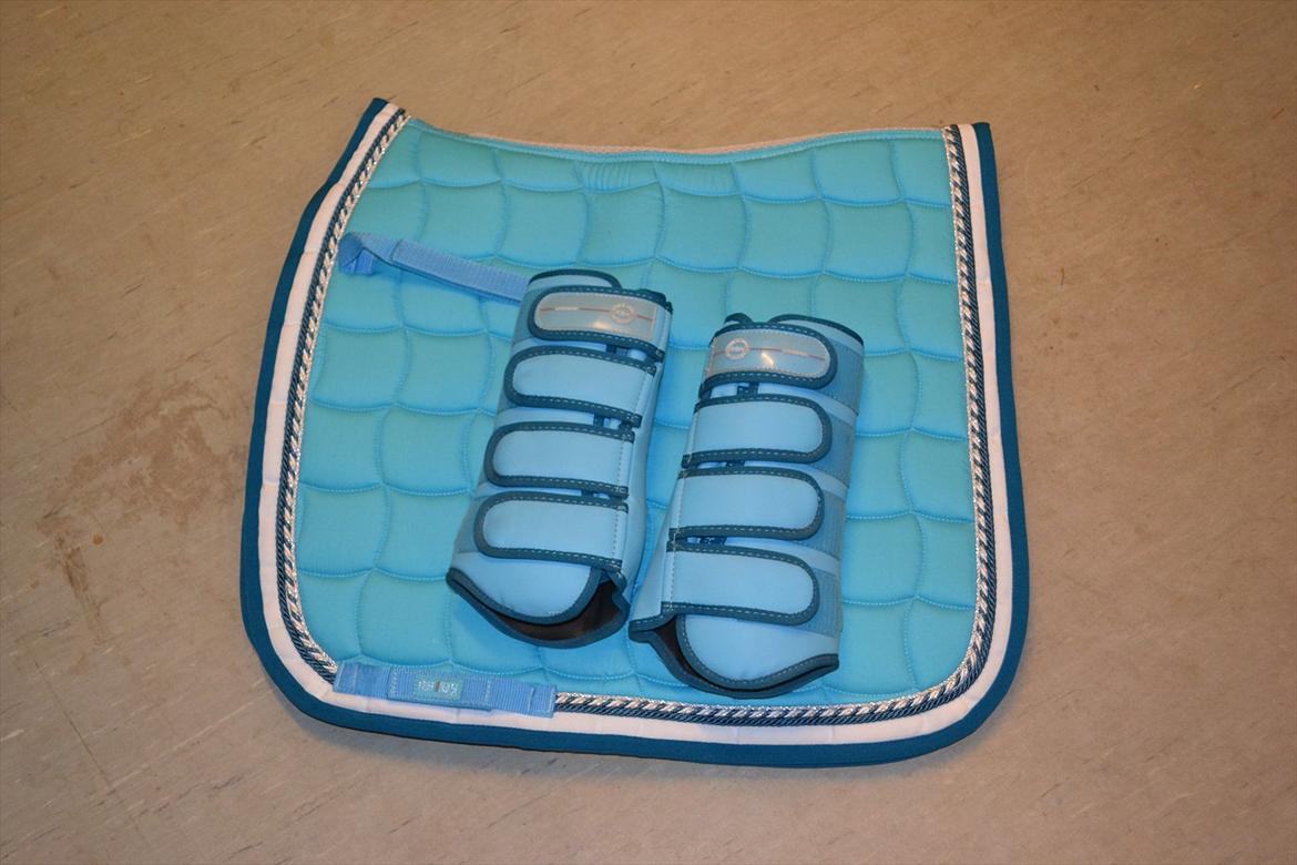 Mit udstyr :) - Mit flotte RBH sæt med dressur gamacher :) billede 1