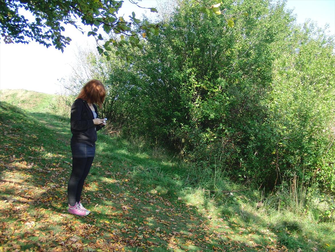 Efterårsbilleder! billede 18