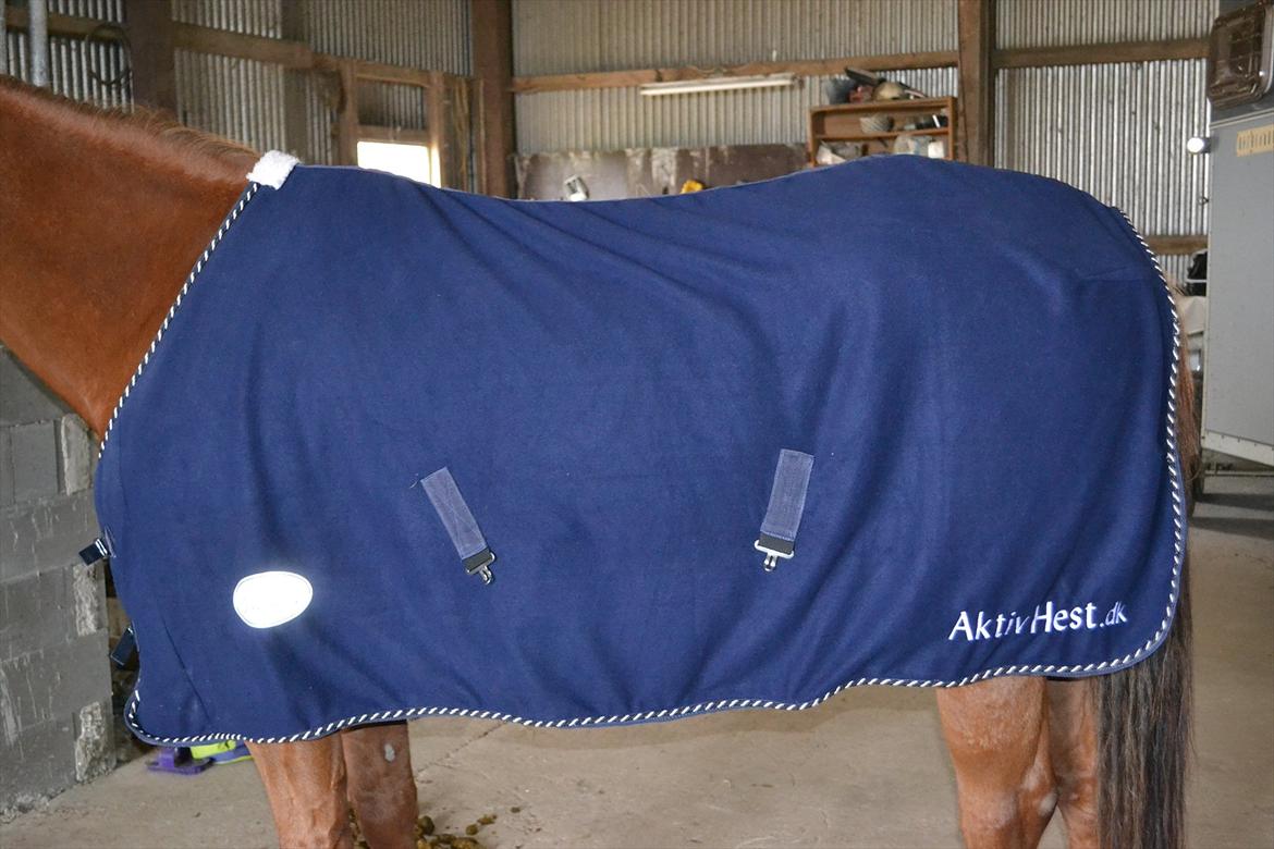 Mit udstyr :) - Blåt fleece tæppe med skrift. Et vi har vundet i en cup :D billede 10