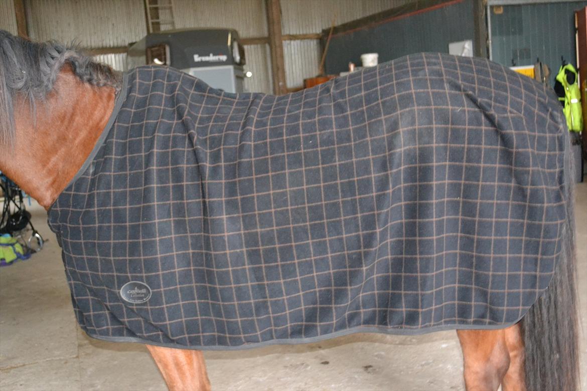 Mit udstyr :) - Capriati fleecetæppe billede 13