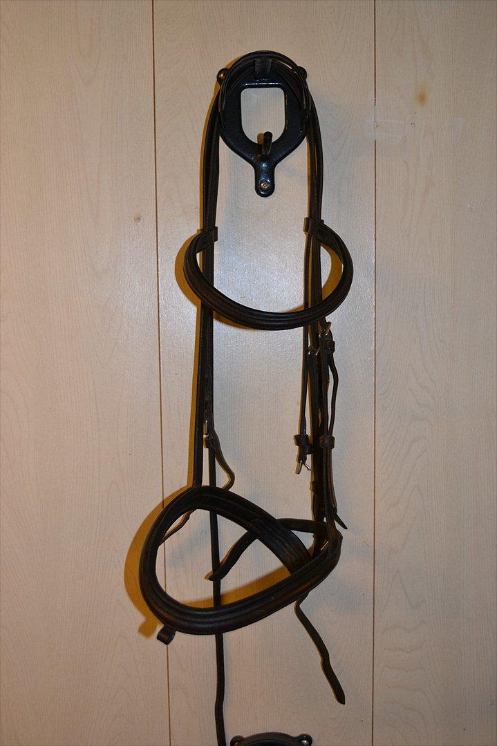 Mit udstyr :) - Brun trense billede 51