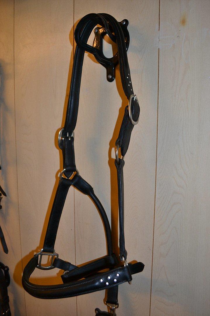 Mit udstyr :) - Sort grime med sten. Bruges til stævner :) billede 53