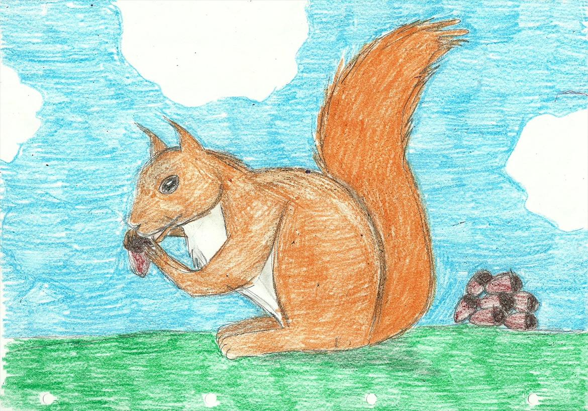 Tegninger :D   - Tegnet et egern :P Hvis jeg husker rigtig har jeg tegnet efter xD :P Lidt nymoderne "effekter" med skygger på det hvide :P xD 
Nok tegnet mod slutningen af maj 2011 billede 124