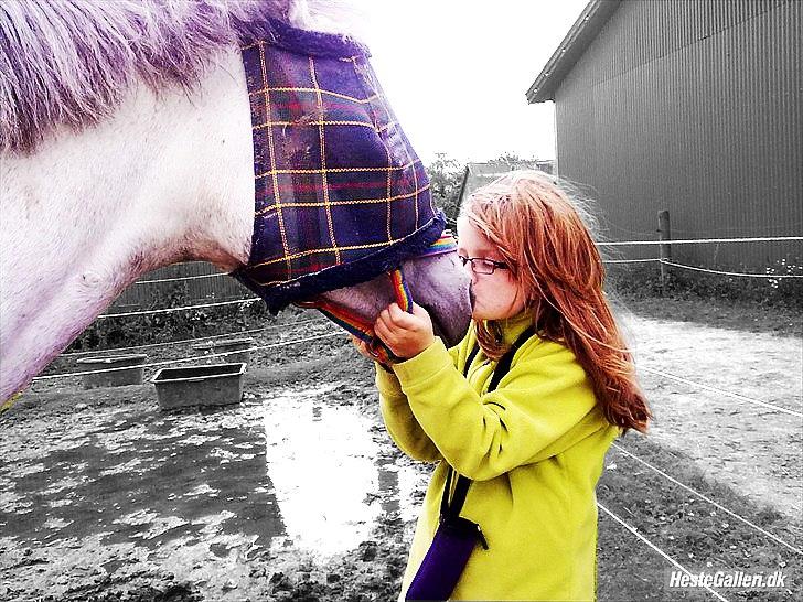 Billeder, tegninger osv. - Billede af nikita :)  billede 9