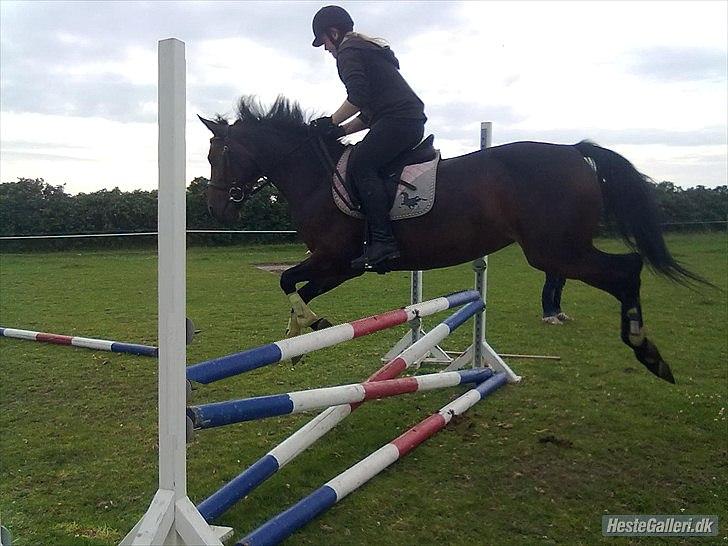 Billeder, tegninger osv. - molly billede 10