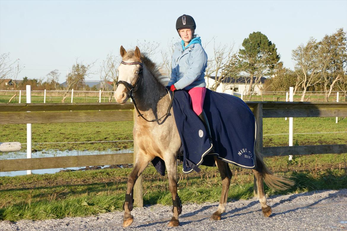 Cosmopolitan billede 1