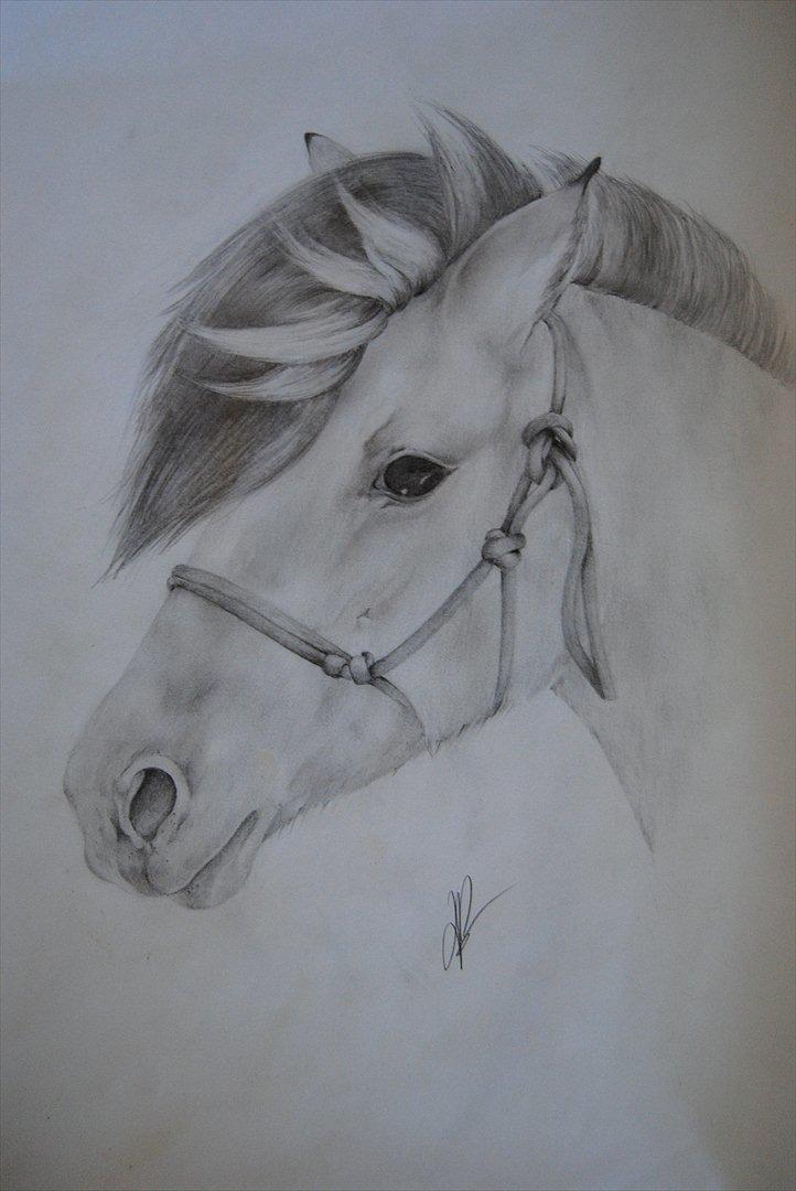 .. Tegninger :) | Åben for bestillinger. - Tinka. Tegning til Tine. Synes resultatet blev meget godt :) lidt irriterende man ikke kan se alle små detaljer.  billede 14