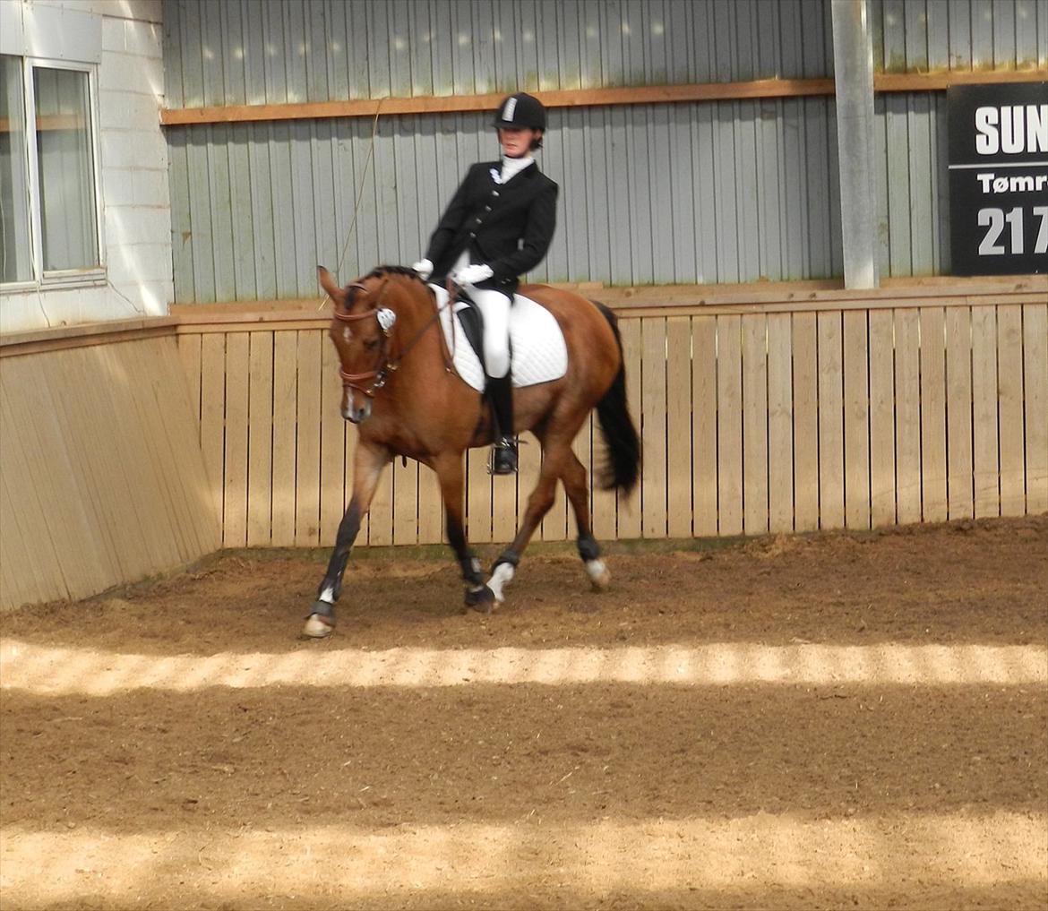 Stævne i Roager Rideklub d. 24/9 2011 billede 1