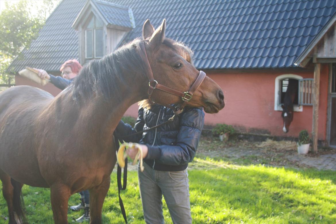 Rest in peace verdens bedste Tequila! billede 7