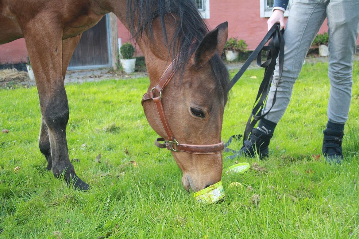 Rest in peace verdens bedste Tequila! billede 8