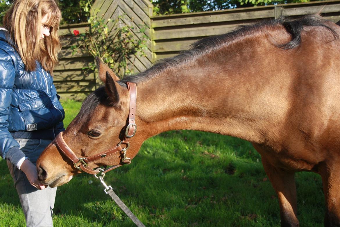 Rest in peace verdens bedste Tequila! billede 12