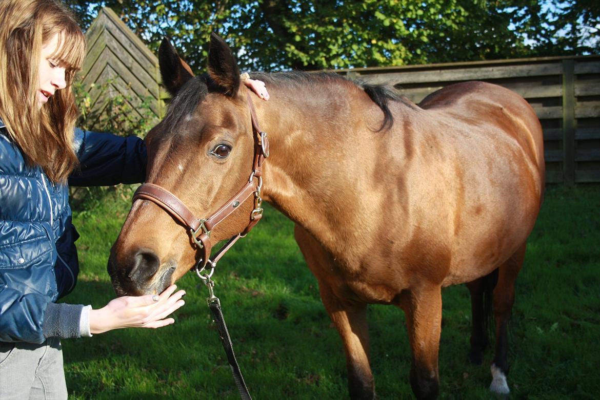 Rest in peace verdens bedste Tequila! billede 14