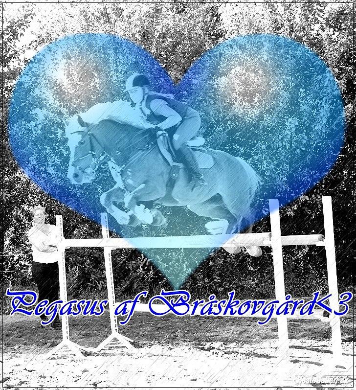 Lidt redigerede billeder af de smukke dyr<3 :* billede 1