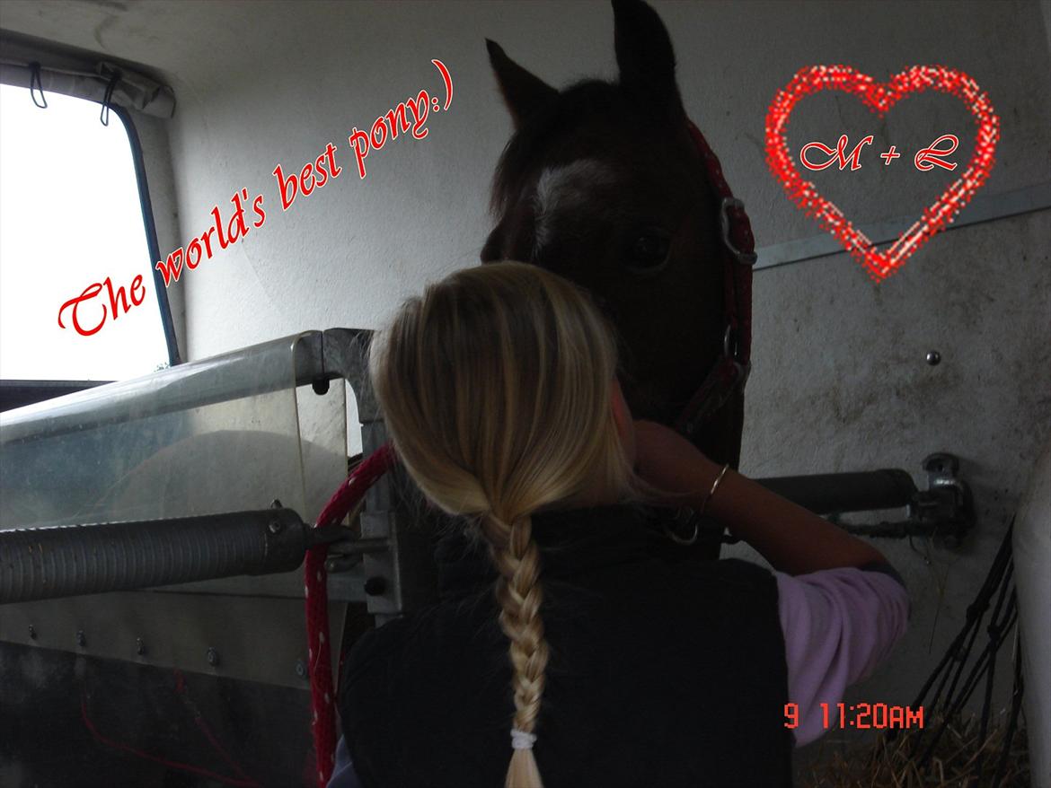 Lidt redigerede billeder af de smukke dyr<3 :* billede 2