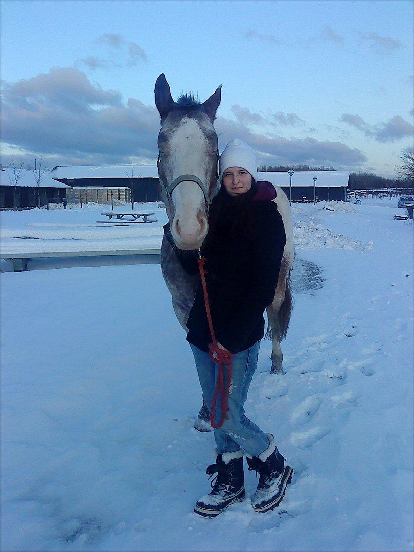Hvidovre-Avedøre Rideklub - Pako og mig - vinter 2010 <3  billede 6
