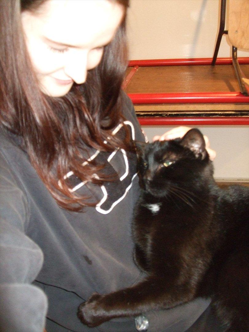 Hvidovre-Avedøre Rideklub - Sofus og mig ;)  billede 8