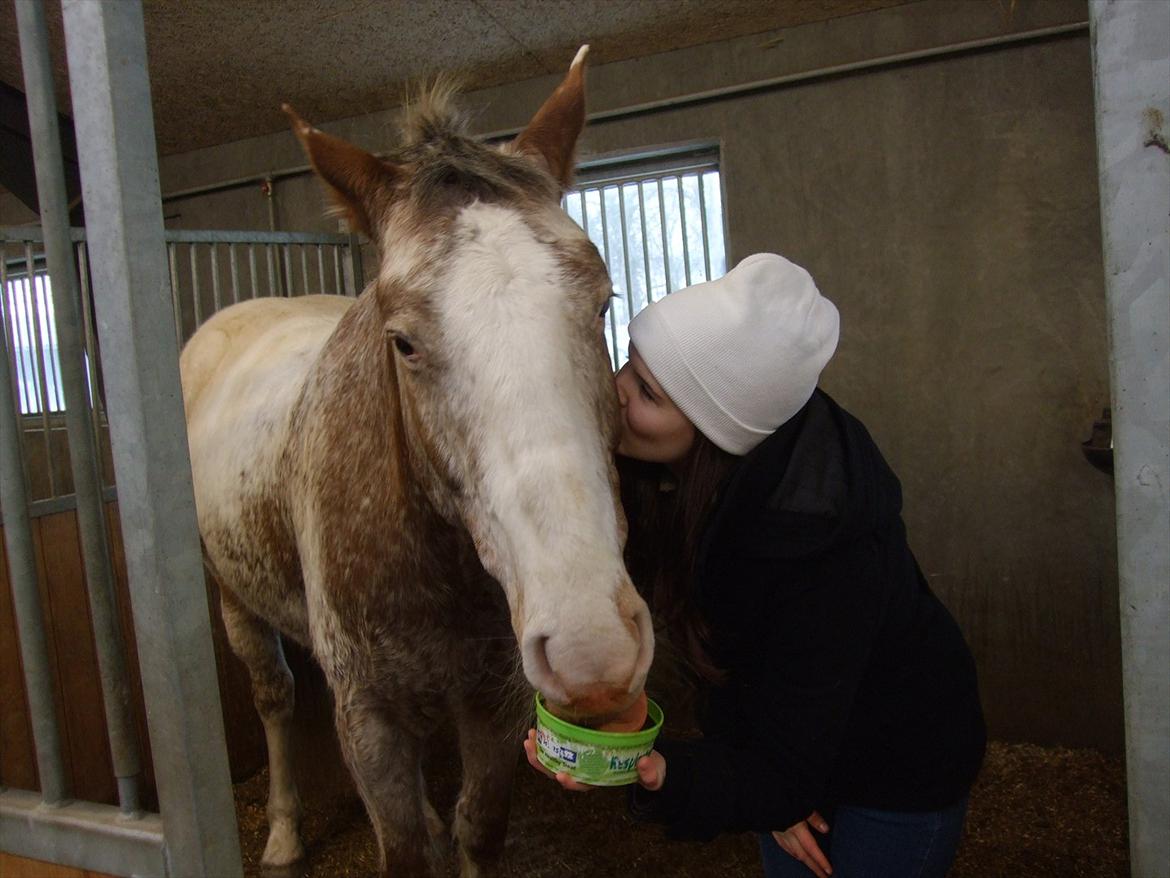 Hvidovre-Avedøre Rideklub - Møsser! :-* billede 13