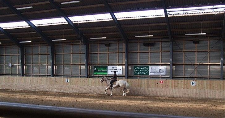 Hvidovre-Avedøre Rideklub billede 14