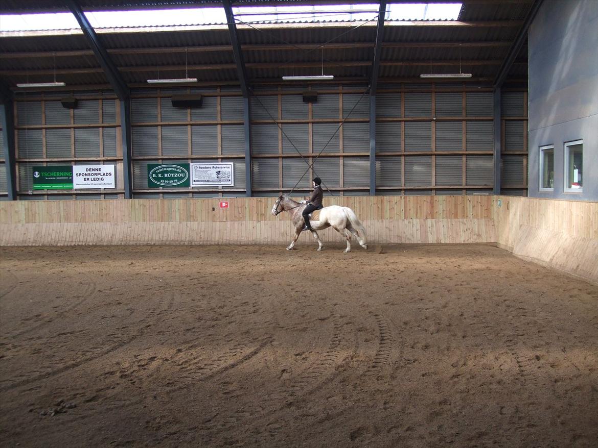 Hvidovre-Avedøre Rideklub billede 15