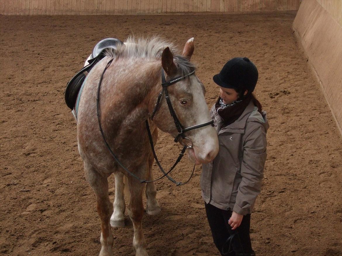 Hvidovre-Avedøre Rideklub - En lille snak inden vi rider ;)  billede 16