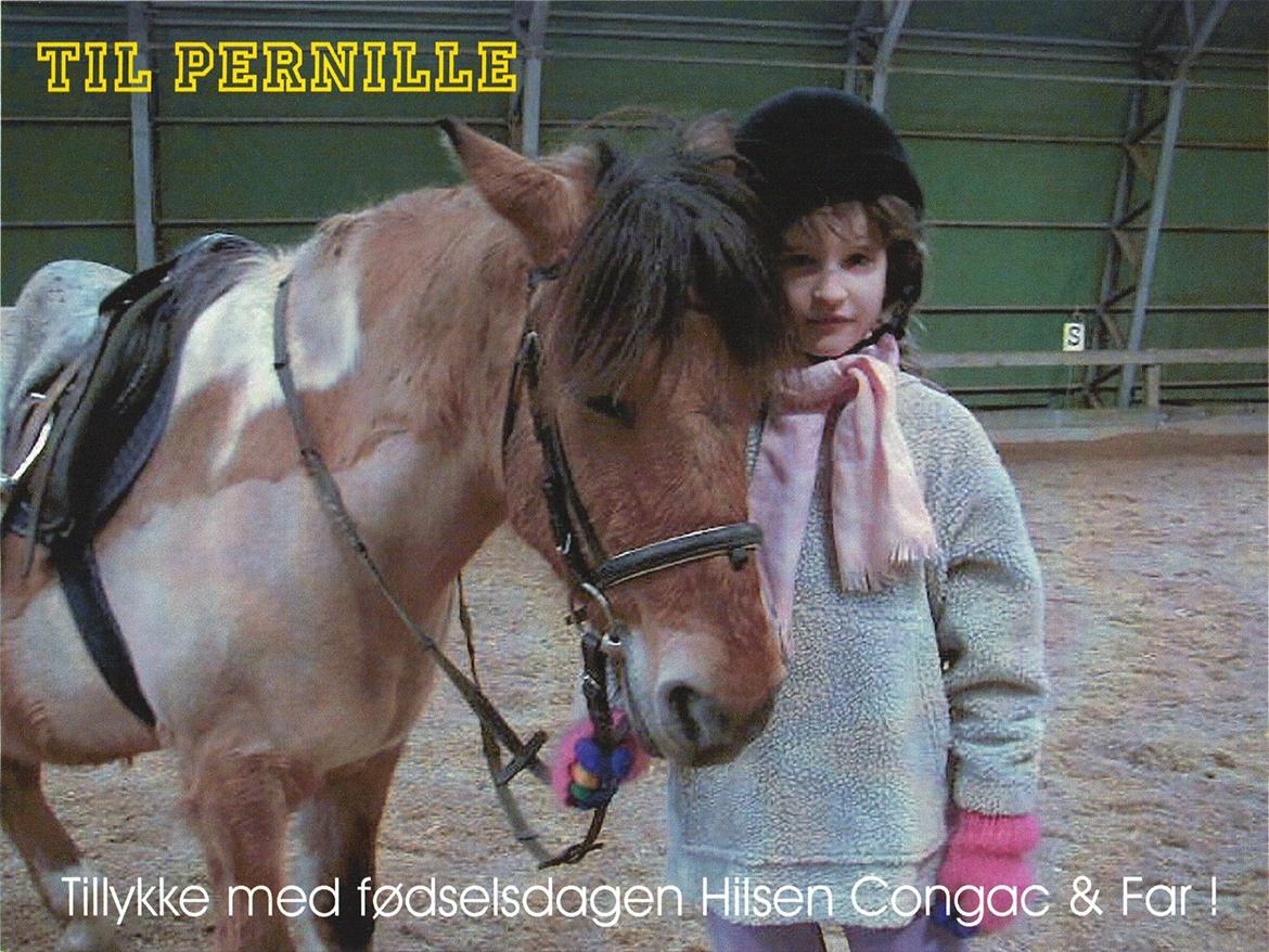 Hvidovre-Avedøre Rideklub - Dengang jeg var en lille pige - her sammen med hoppen, Cognac. billede 25