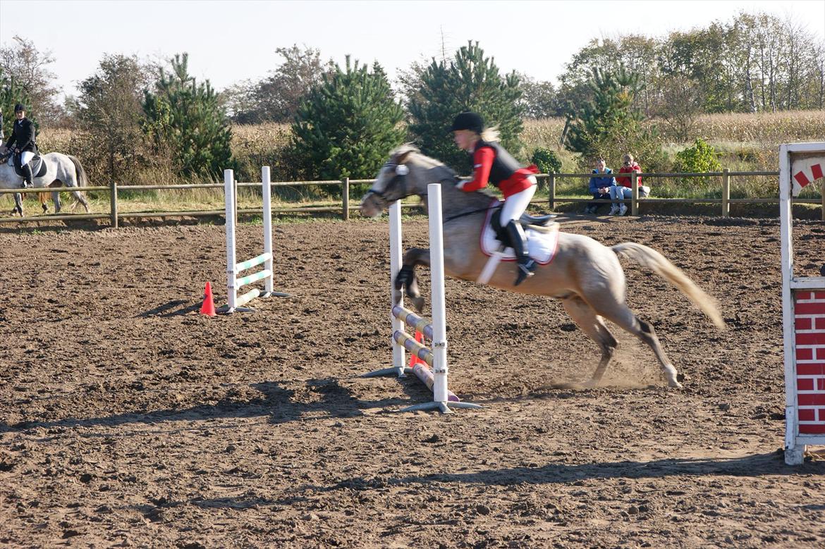 Cosmopolitan billede 6