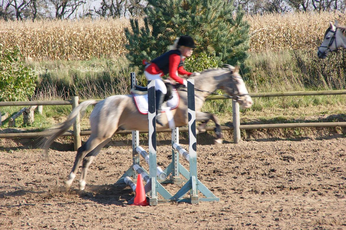 Cosmopolitan billede 7