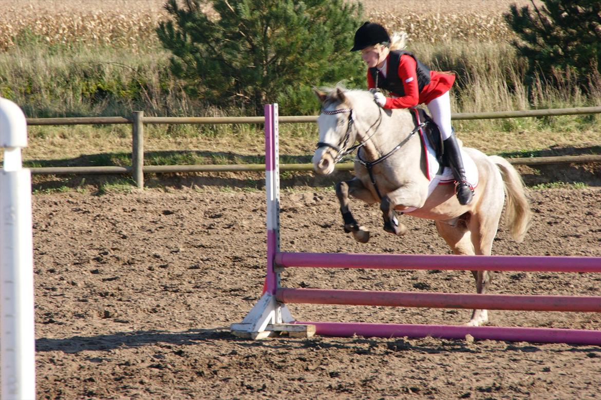 Cosmopolitan billede 8