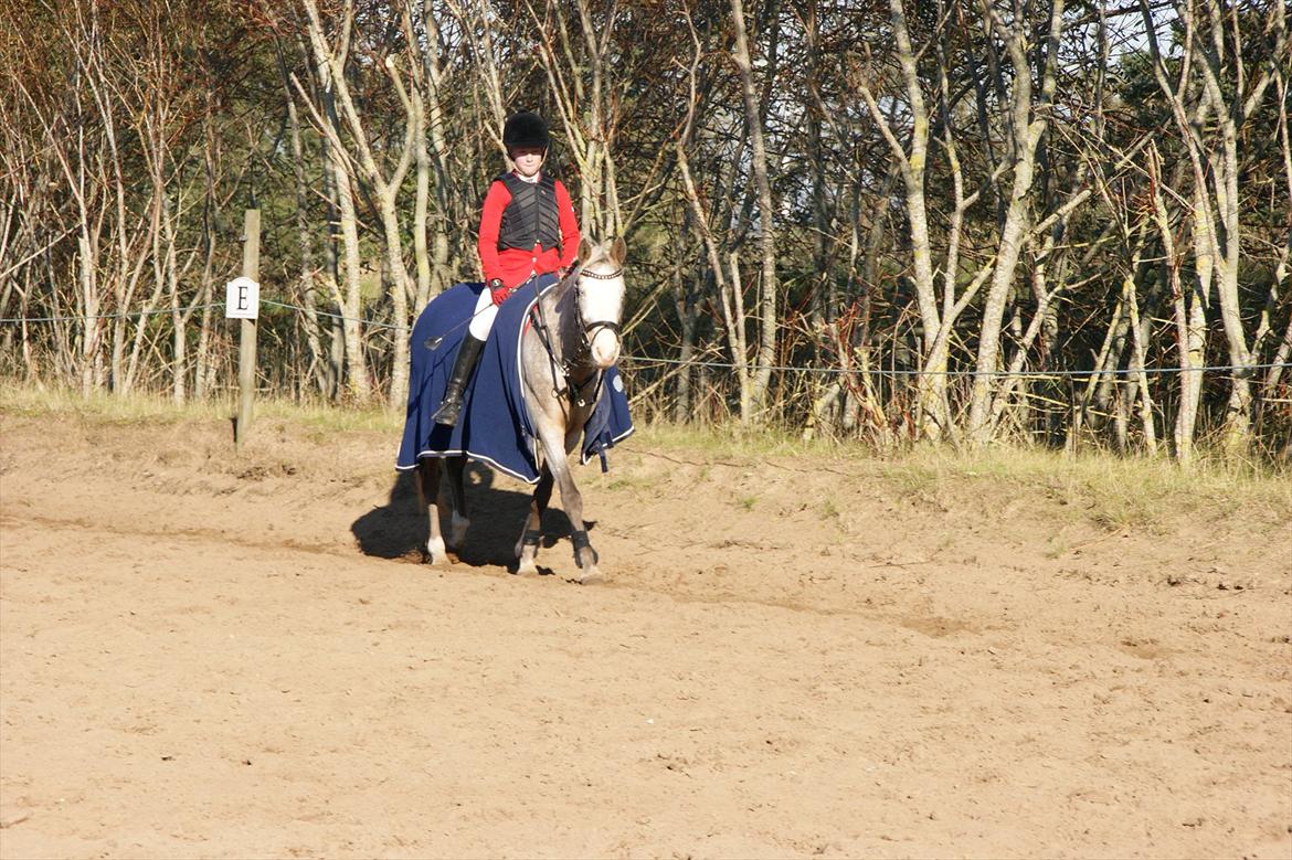 Cosmopolitan billede 10