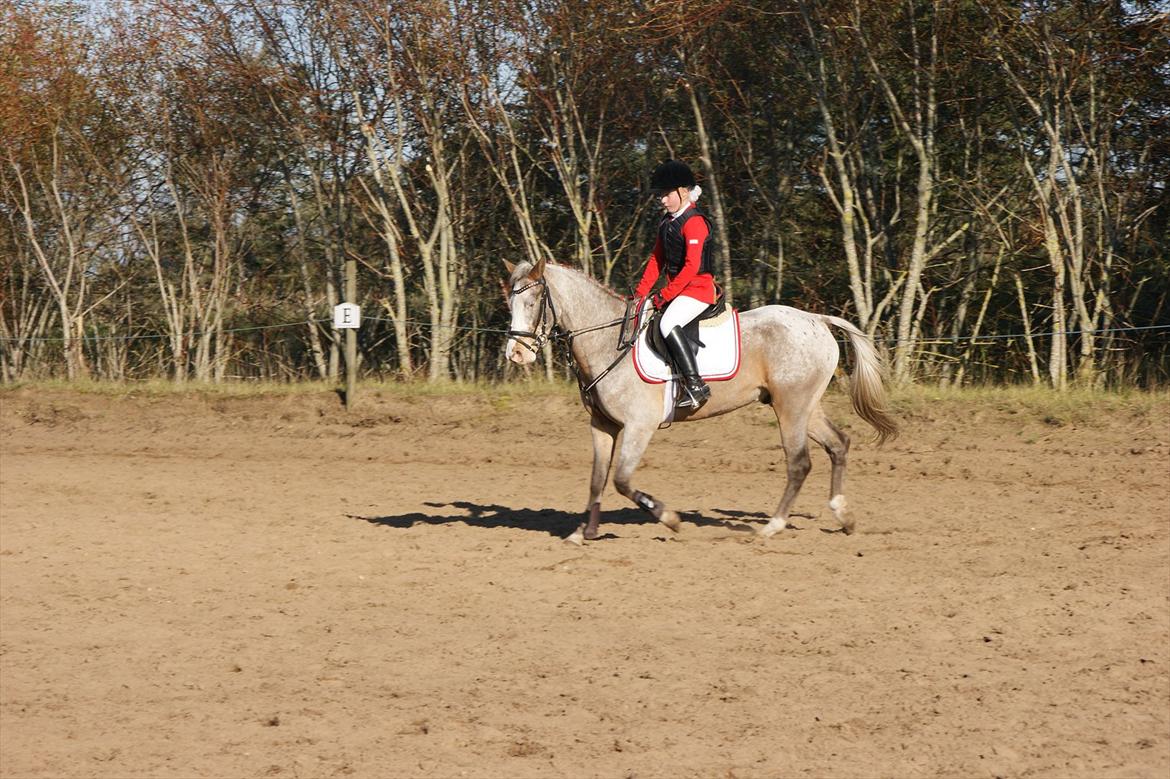 Cosmopolitan billede 11