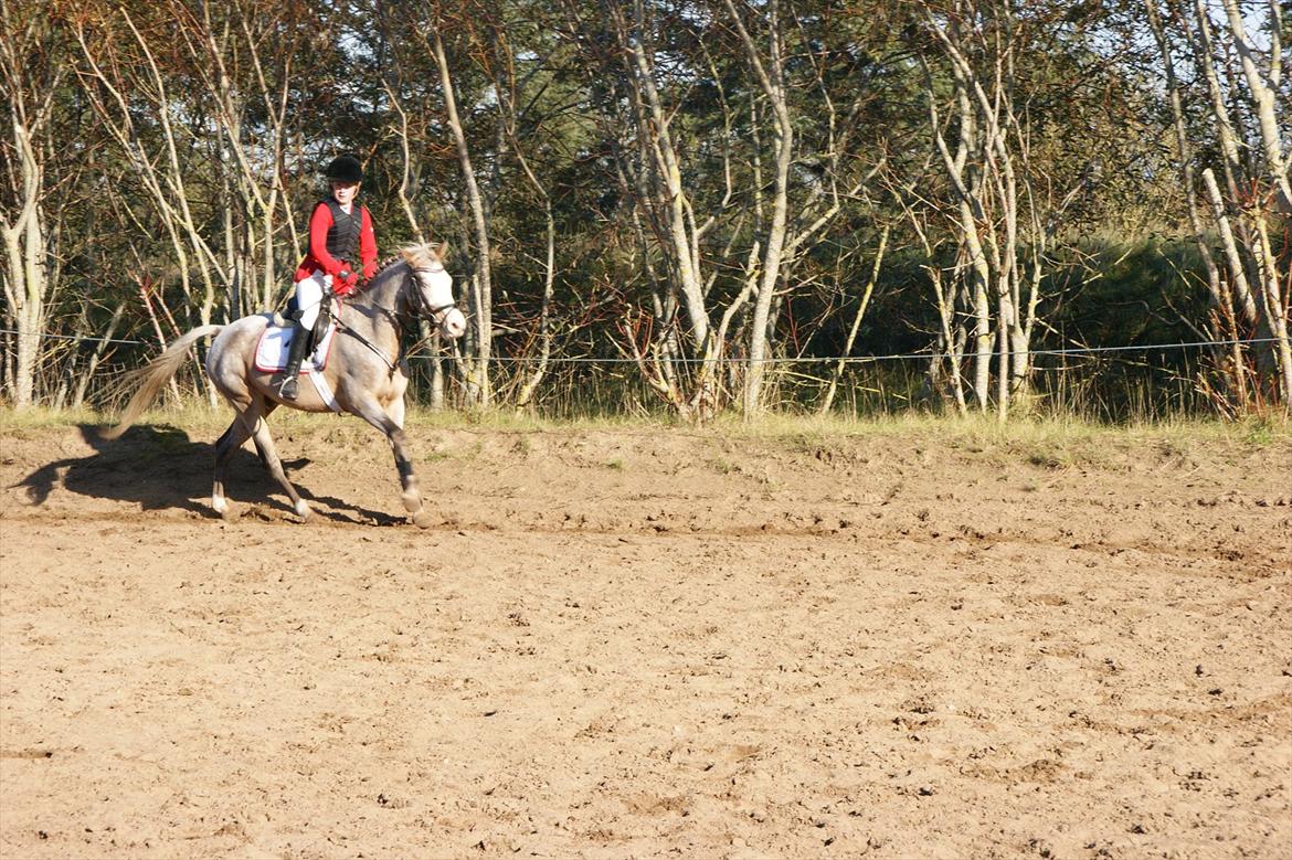 Cosmopolitan billede 12